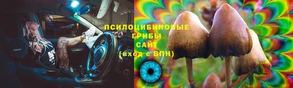 2c-b Аркадак