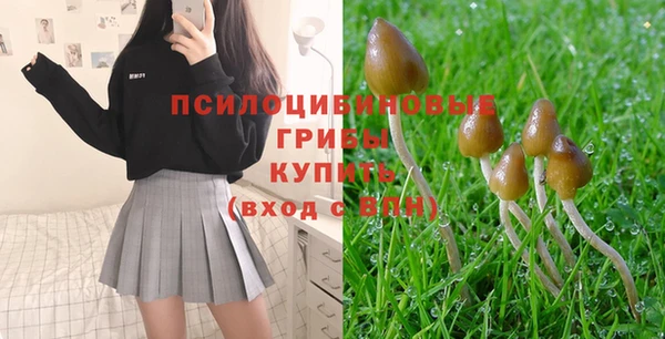 прущая мука Балахна