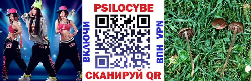 Галлюциногенные грибы прущие грибы  блэк спрут tor  Старица 